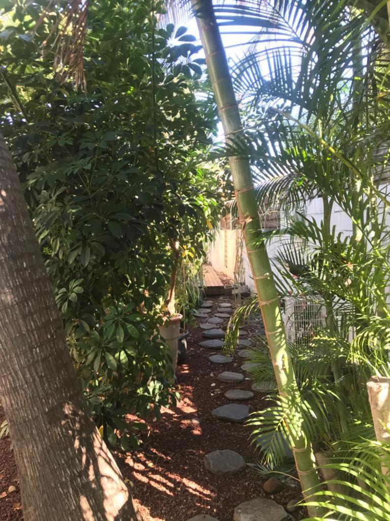 Villa Albizia 974 Avec Piscine Et Spa Saint Pierre Luaran gambar