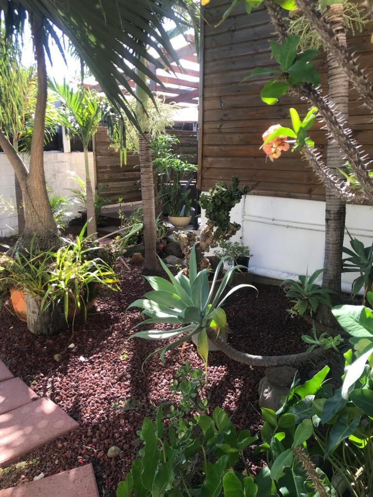 Villa Albizia 974 Avec Piscine Et Spa Saint Pierre Luaran gambar